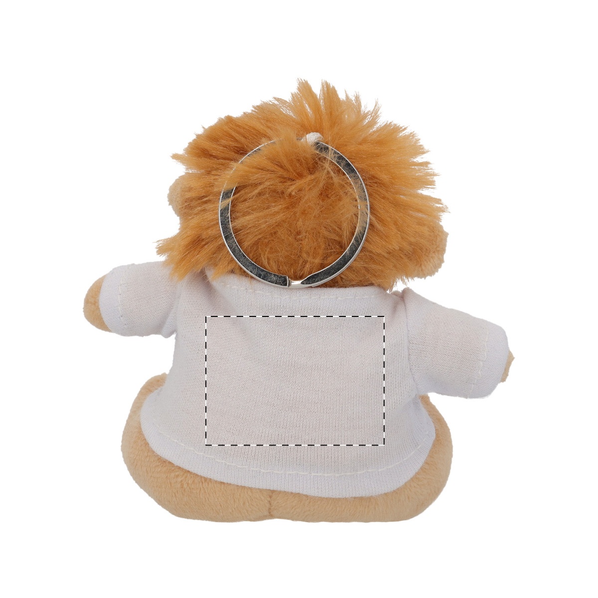 Rückseite (30 x 20 mm)