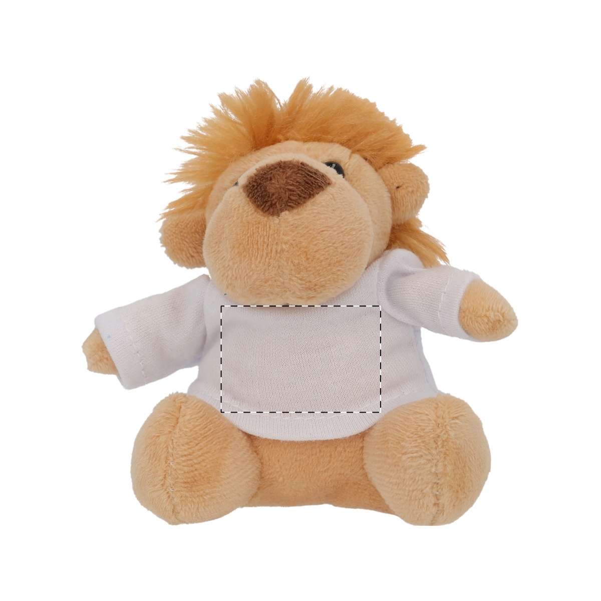 Vorderseite (30 x 20 mm)