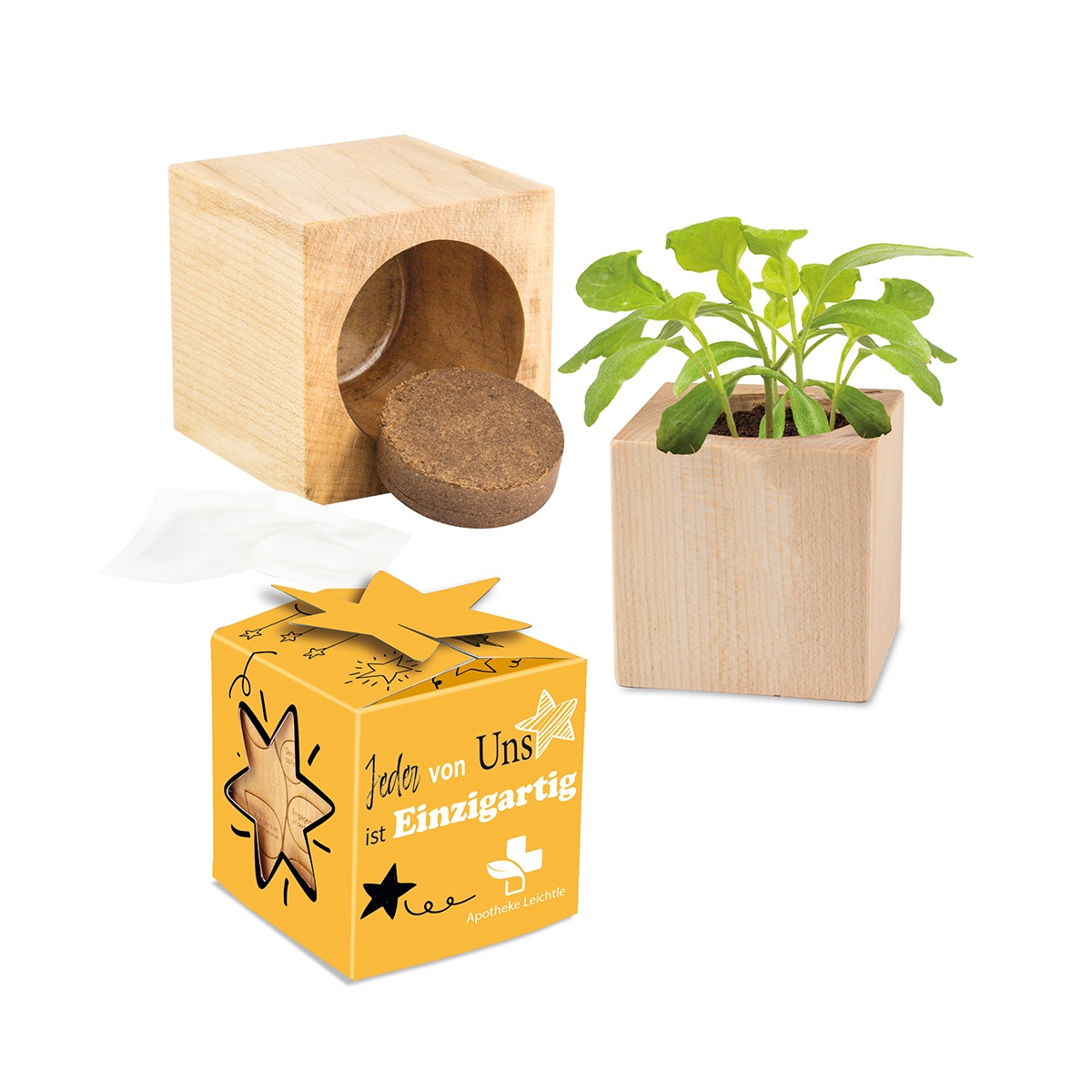 Schachtel + Artikel (6x4,3x4,3 cm)