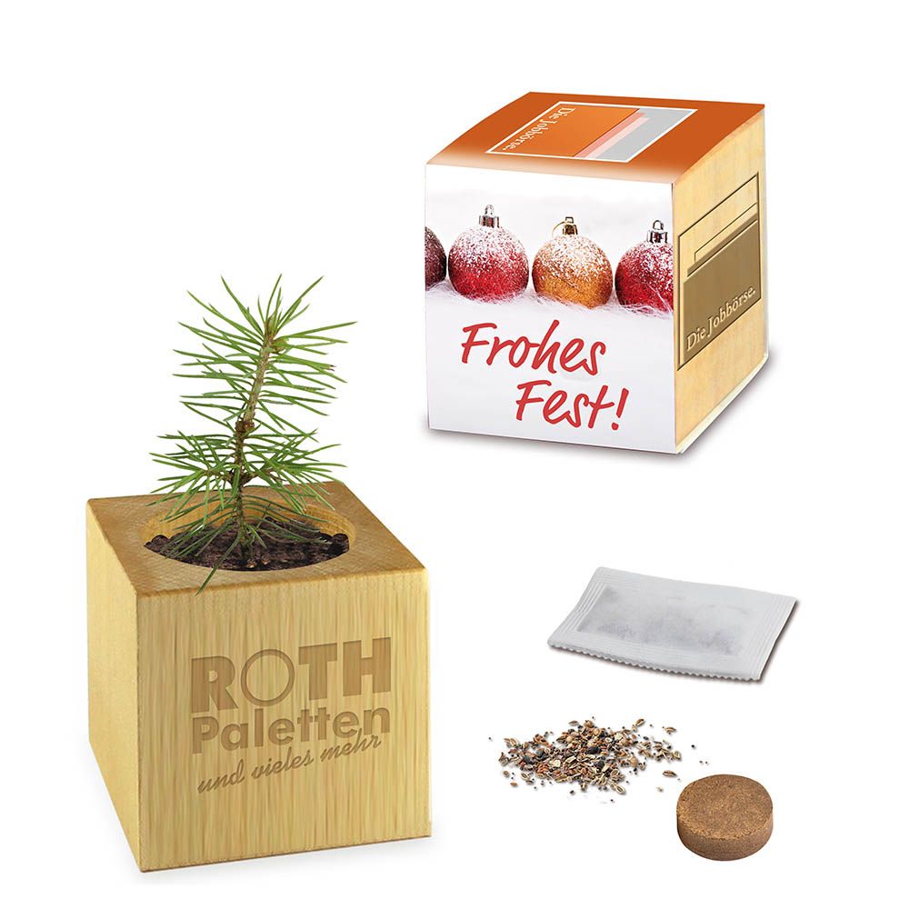 auf Banderole + auf Produkt (24,0 x 6,0 cm, 5,0 x 5,0 cm)