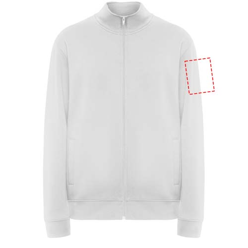 linker Bizeps (9 x 12 cm)