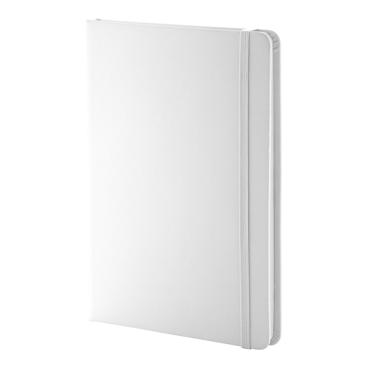 Maßgefertigte Kraft-Papierbanderole (338 x 210 mm)