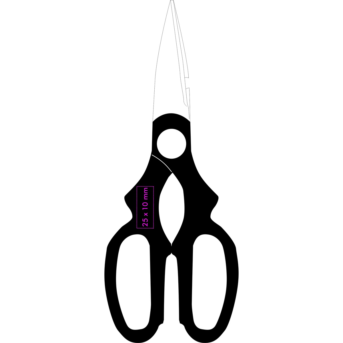 Vorderseite links (2,5 x 1 cm)