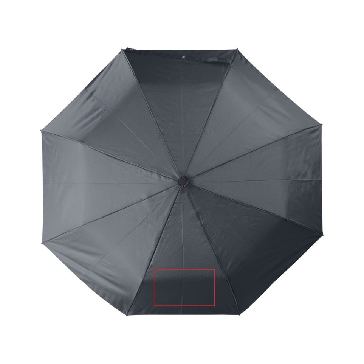 Panel 1 (120 x 200 mm)